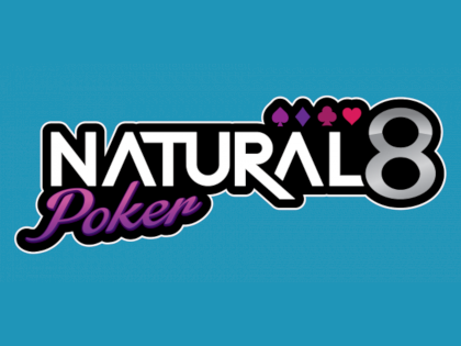 natural8logo min