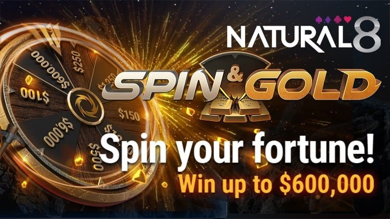 Spin n Go Natty8