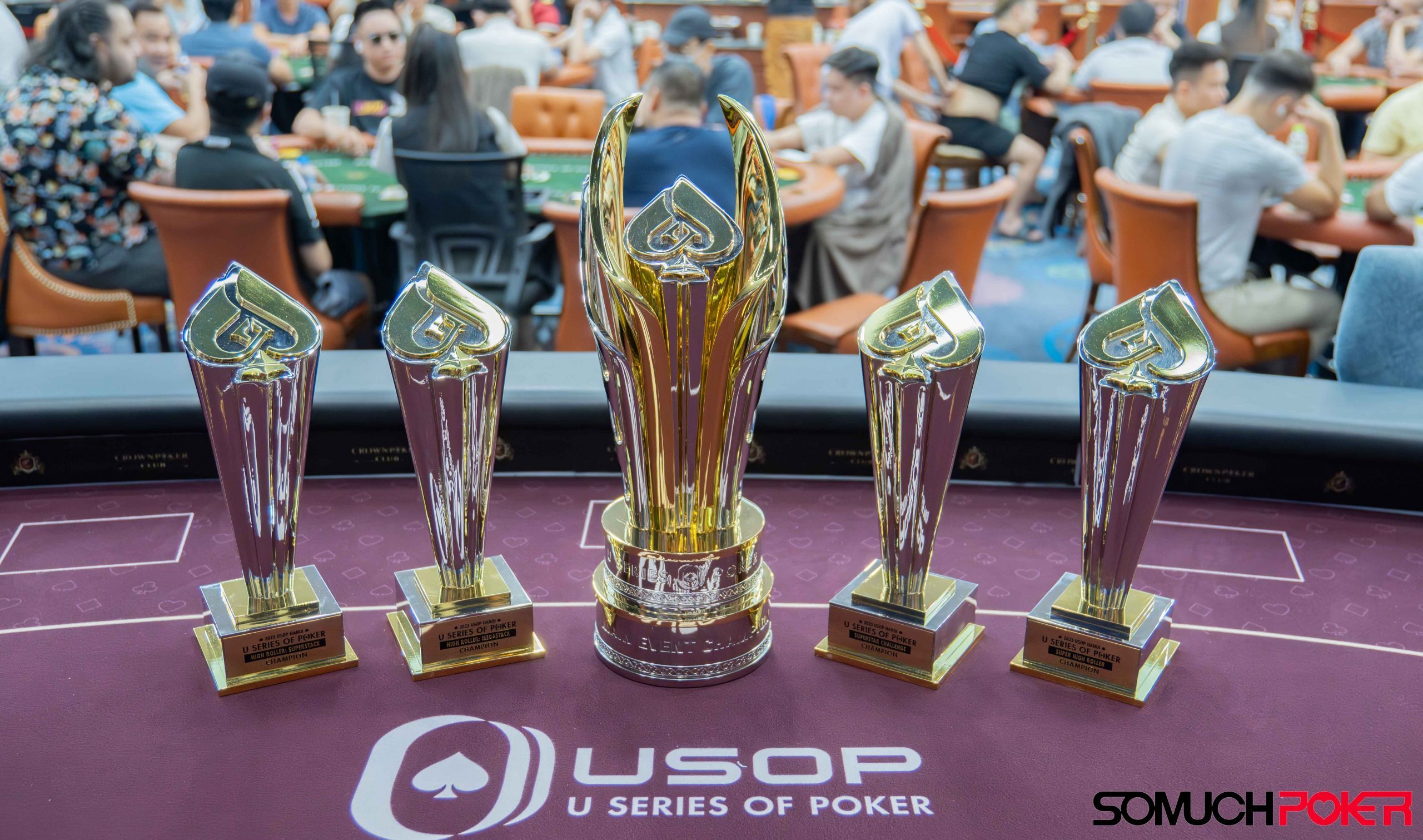 USOP Hanoi - Festival Results