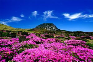 The largest island in Korea, Jeju is a popular tourist destination